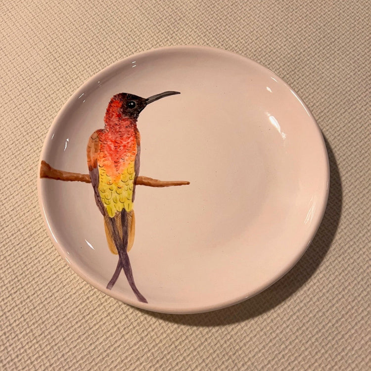 Brazilian Birds Ceramic Plates