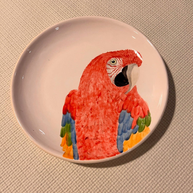 Brazilian Birds Ceramic Plates