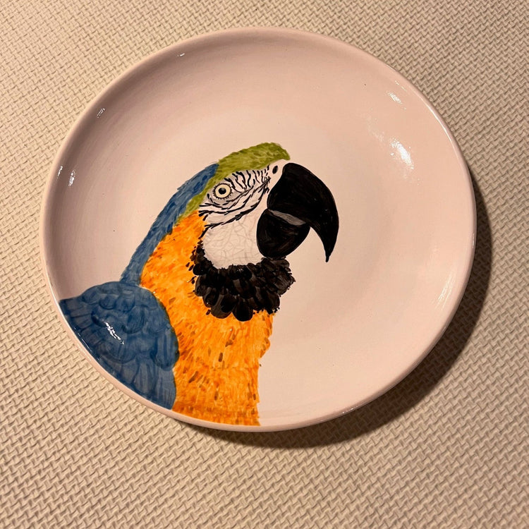 Brazilian Birds Ceramic Plates