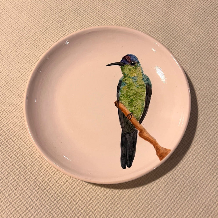 Brazilian Birds Ceramic Plates
