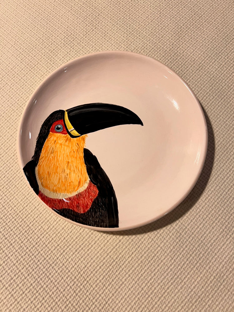 Brazilian Birds Ceramic Plates