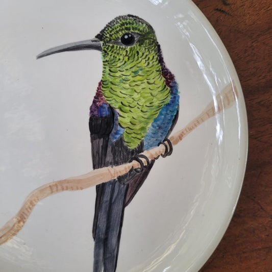 Brazilian Birds Ceramic Plates